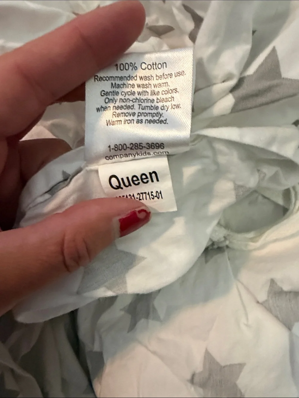 Company Kids Queen Duvet Cover and 2 matching standard pillow covers